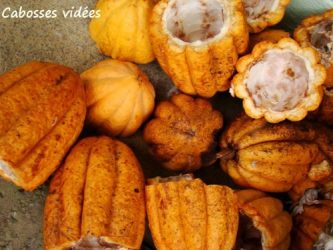 réaliser bâton de cacao