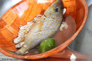 poisson frais