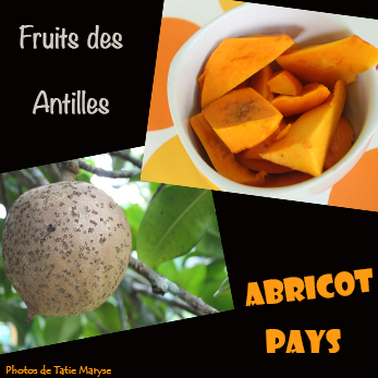 abricot pays martinique