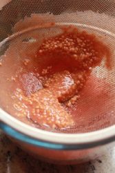 dessert antillais goyave
