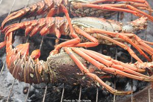 langouste grillée