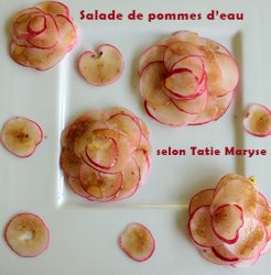 salade de pommes d'eau