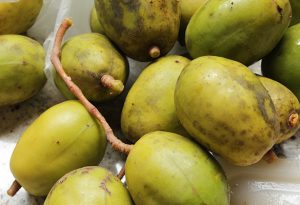 Confiture de prunes de cythère : pour les gourmands image.
