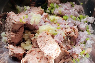 rillettes thon rapide