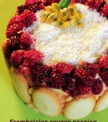 Recette du FRAMBOISIER SAVEUR PASSION, selon Tatie Maryse