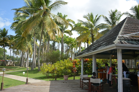 Atelier cuisine antillaise martinique