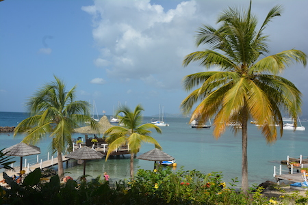 Atelier cuisine antillaise martinique