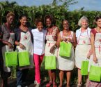 Atelier cuisine créole en Martinique