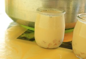 yaourt vanille mangue
