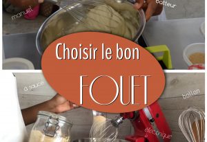 choisir le bon fouet