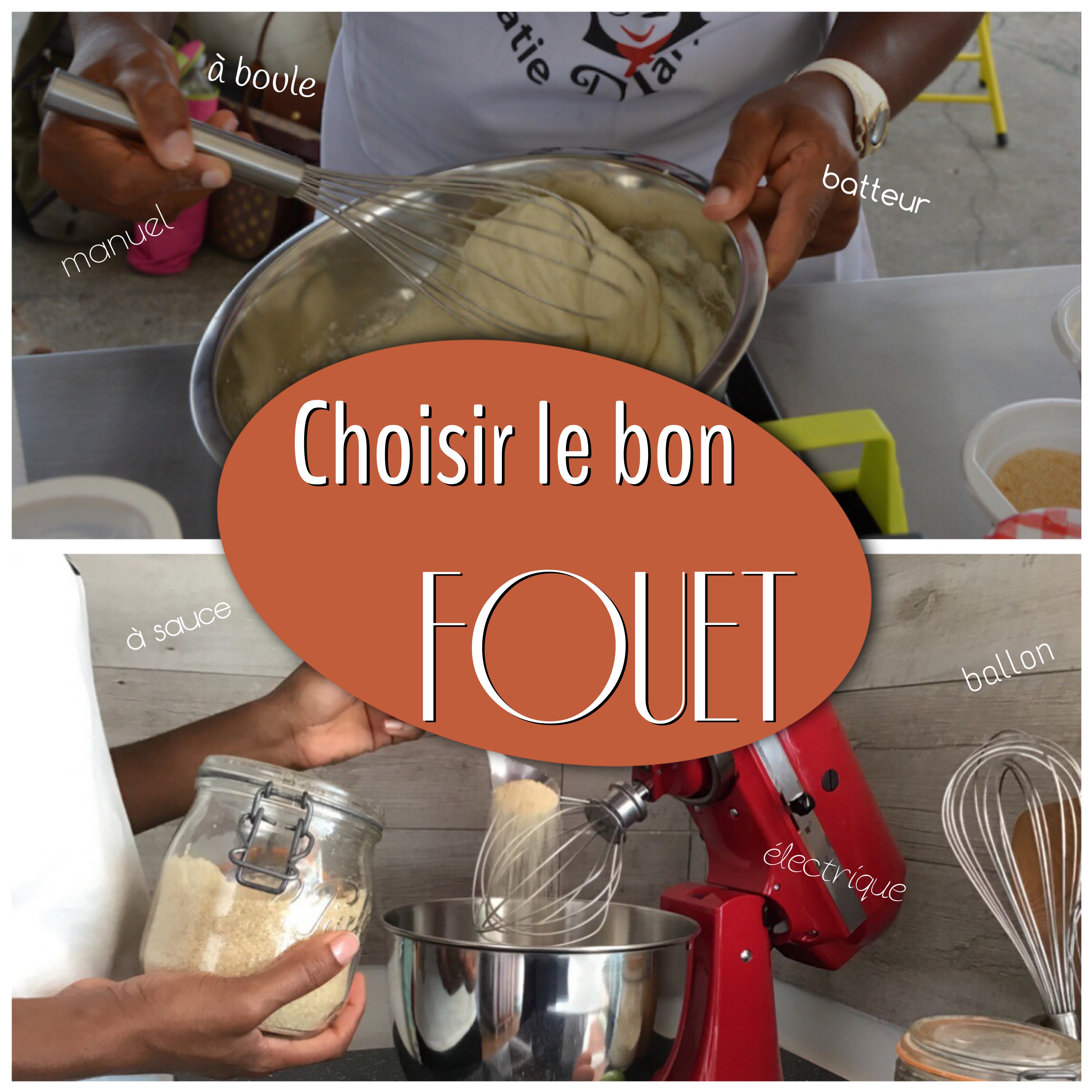 choisir le bon fouet