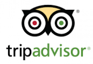 logo tripadvisor