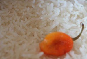 cuisson du riz