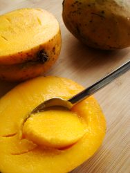 mangue julie