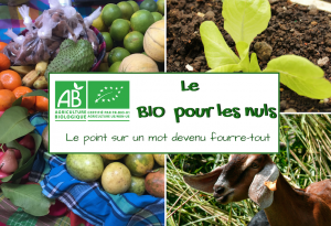 agriculture biologique bio Martinique