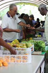 Marché Orga Péyi Martinique