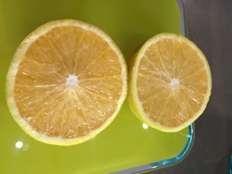 smoothie facile fruits exotiques