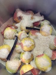 marmelade goyave créole