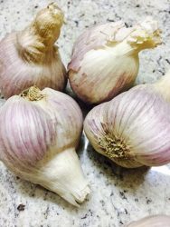 Ail nouveau confit