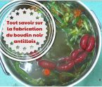 tout savoir sur la fabrication du boudin noir antillais