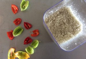 sel aromatisé au piment végétarien