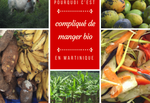 consommer bio en martinique