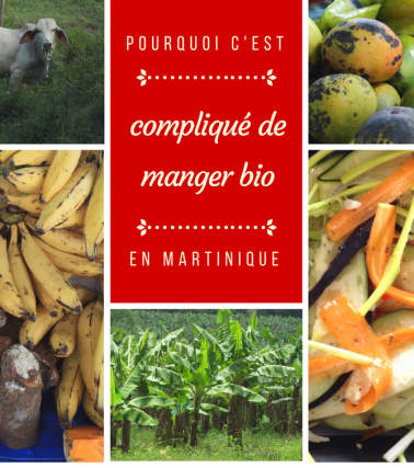 Pourquoi c’est compliqué de manger bio et local en Martinique ?
