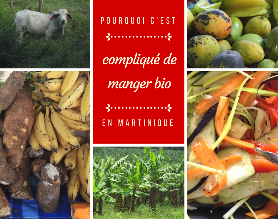 Vie d'une banane - végétable, le magazine de la filière fruits et légumes