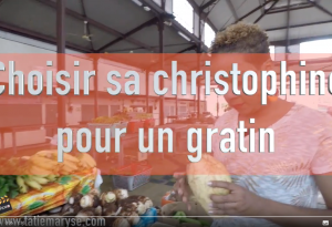 bien choisir la christophine pour un gratin