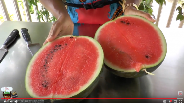 choisir une pastèque sucrée