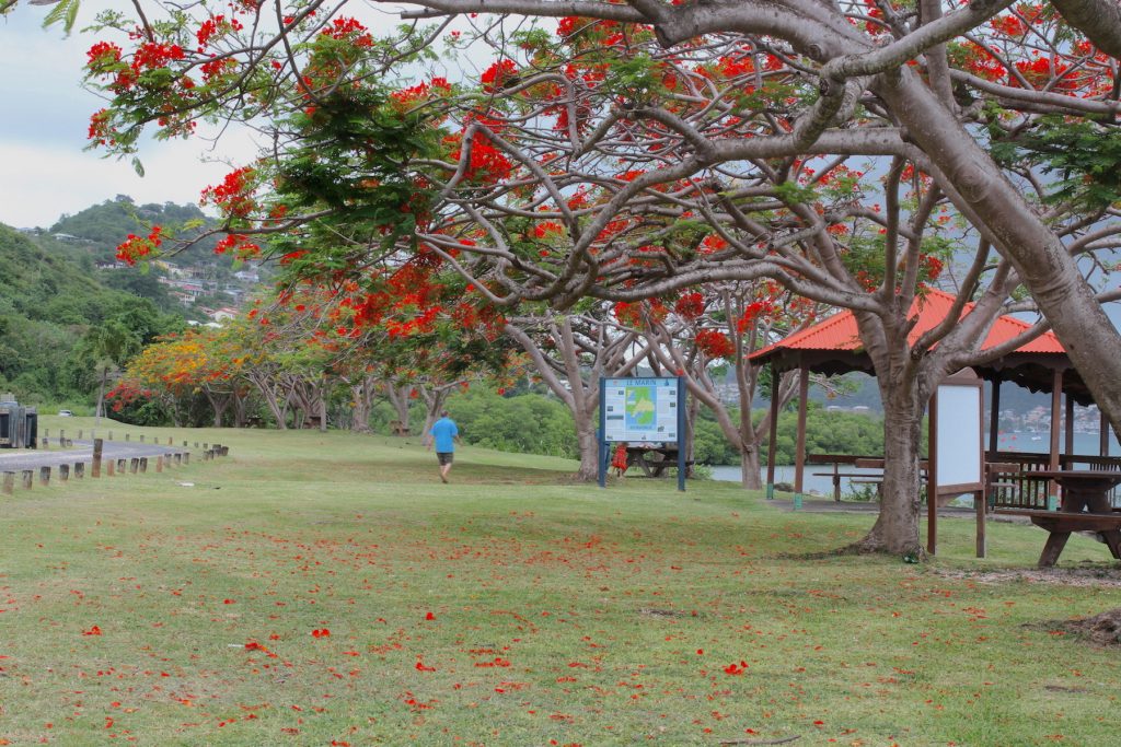 aire de repos du Marin, Martinique