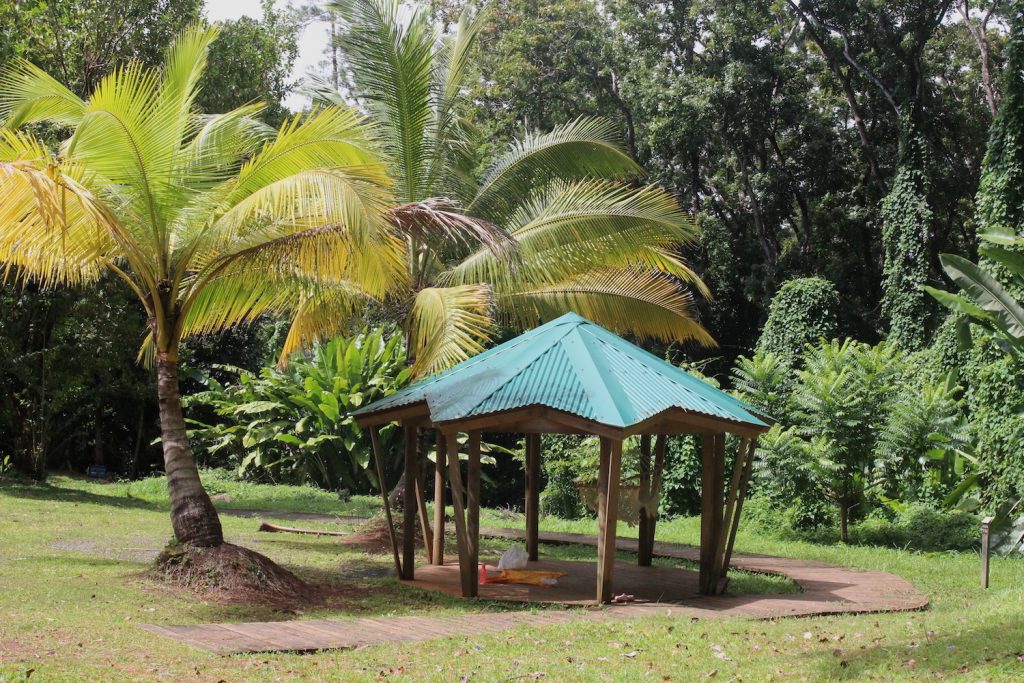 pique-niquer en Martinique, forêt Montravail, Ste-Luce