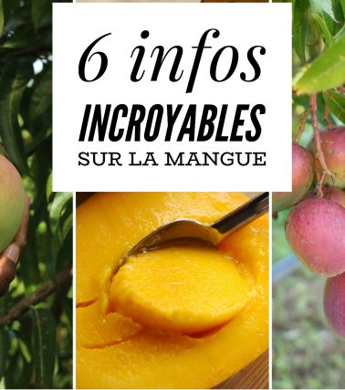 6 infos INCROYABLES que vous ignorez sur la MANGUE !