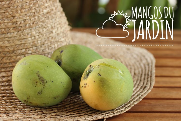 Mango Martinique