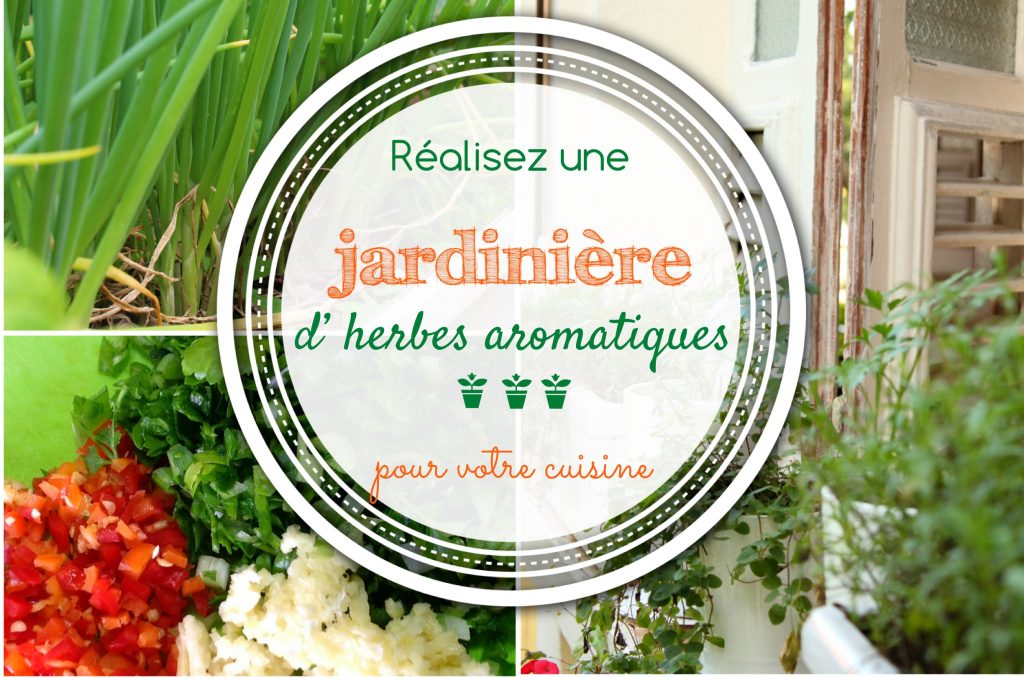 jardinière d'herbes aromatiques antillaises