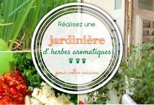 jardinière d'herbes aromatiques antillaises