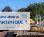 pique-niquer en Martinique 3