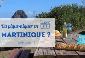 pique-niquer en Martinique 3