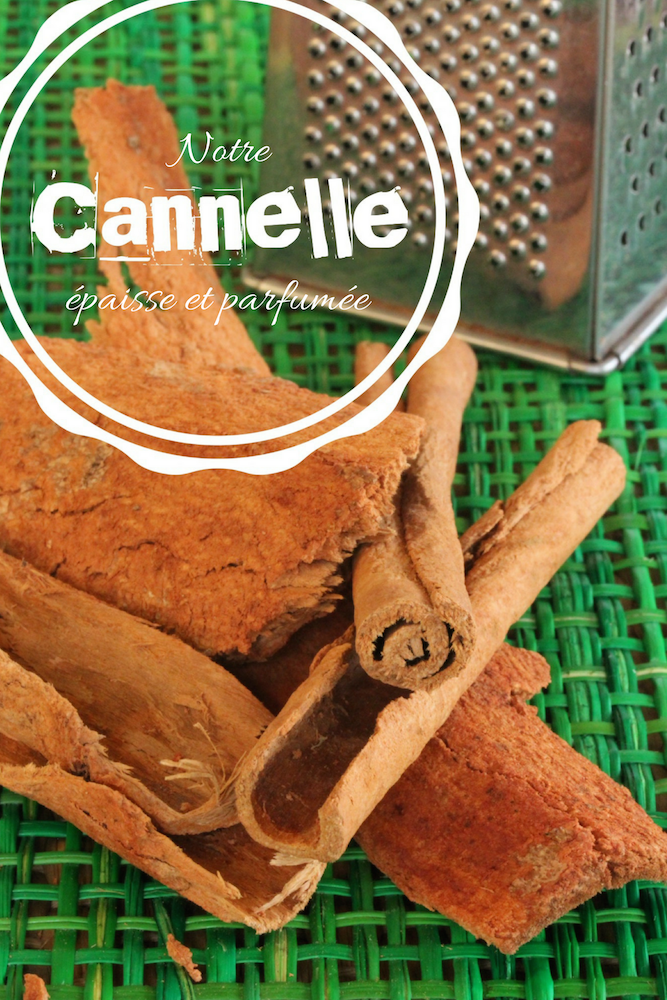 cannelle des Antilles