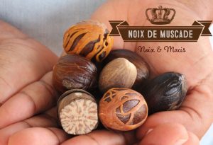 noix de muscade et macis Antilles