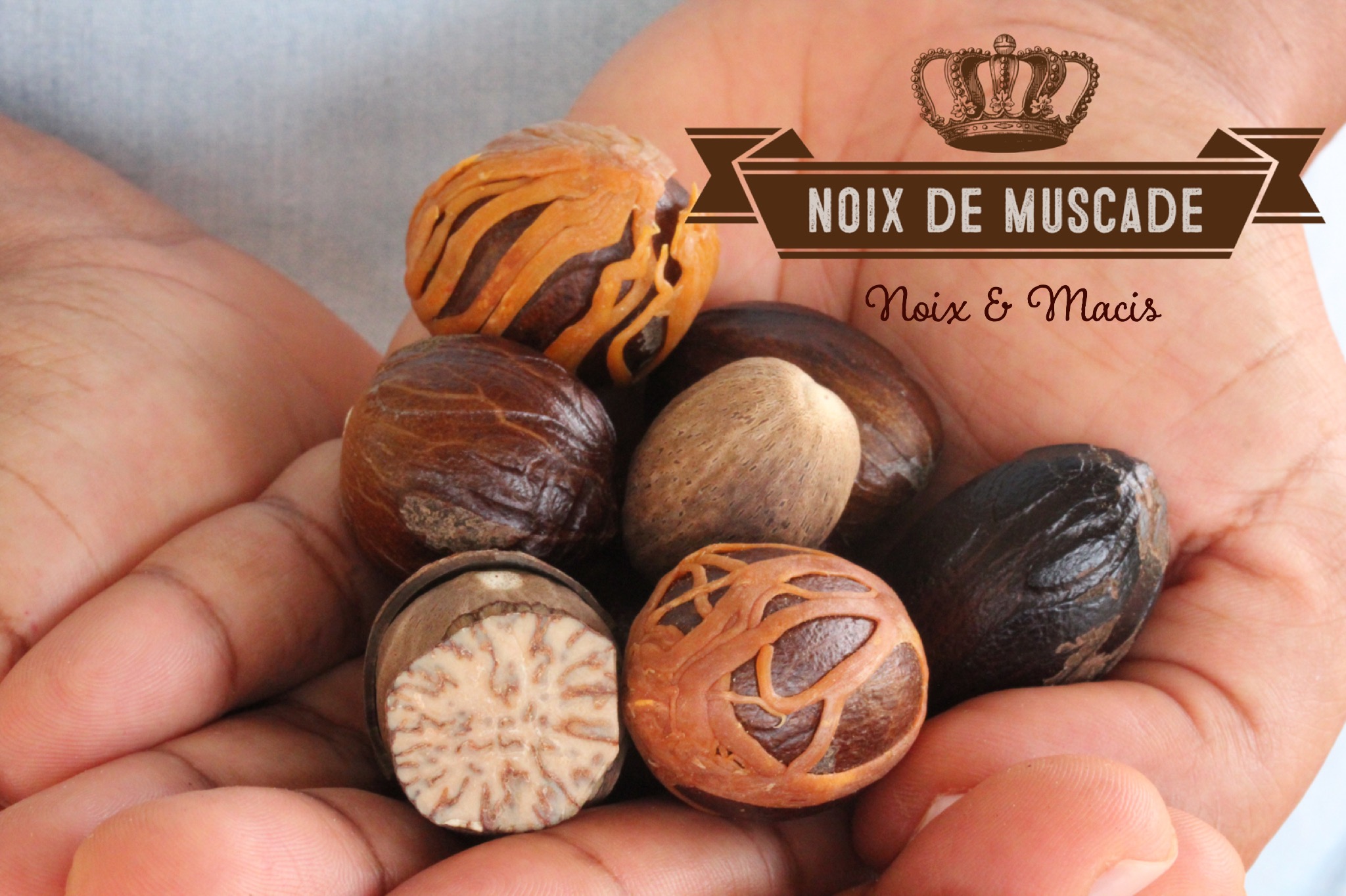 noix de muscade et macis Antilles