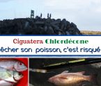 ciguatera chlordécone pêche côtière en Martinique, Antilles