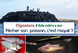 ciguatera chlordécone pêche côtière en Martinique, Antilles