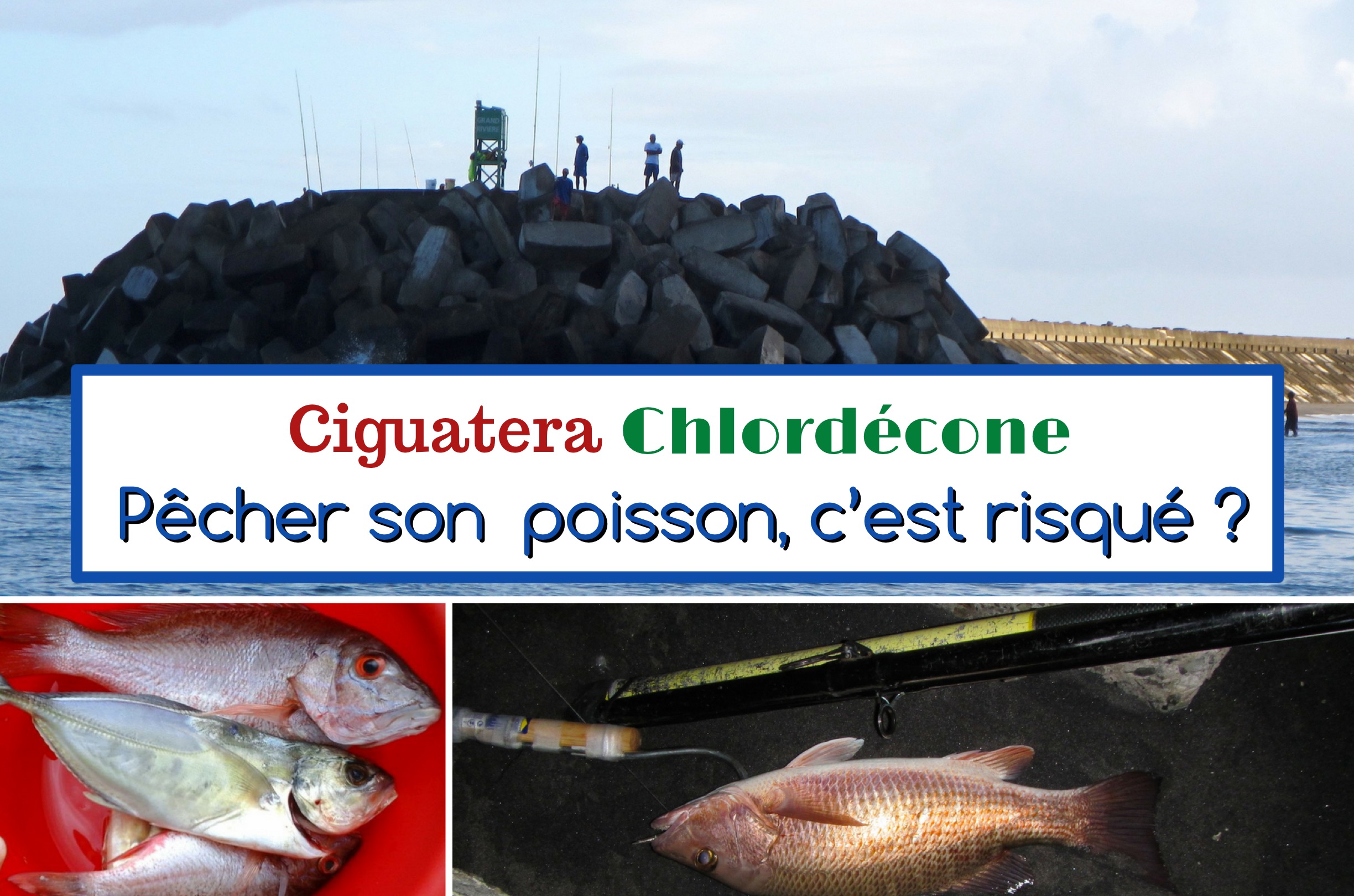 ciguatera chlordécone pêche côtière en Martinique, Antilles