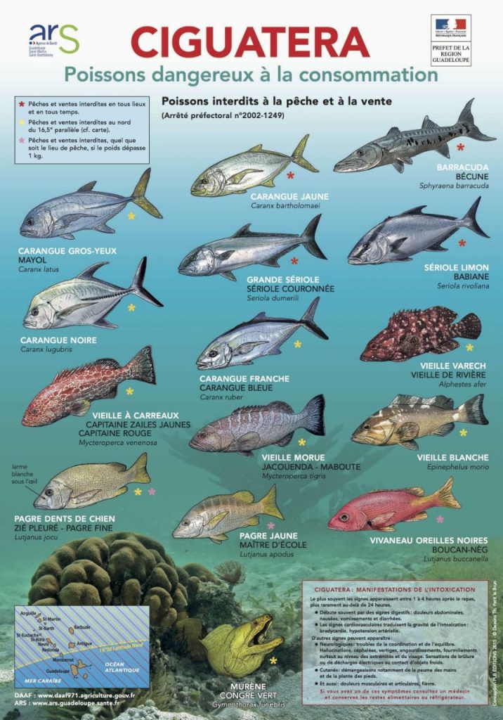 poissons interdis de pêche Guadeloupe