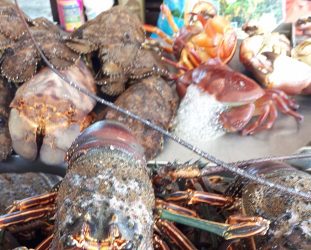 crustacés antillais langouste