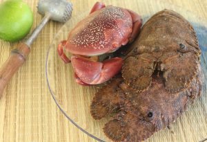 crustacés antillais cigale de mer crabe tourteau