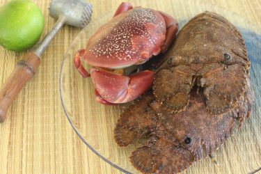 crustacés antillais cigale de mer crabe tourteau