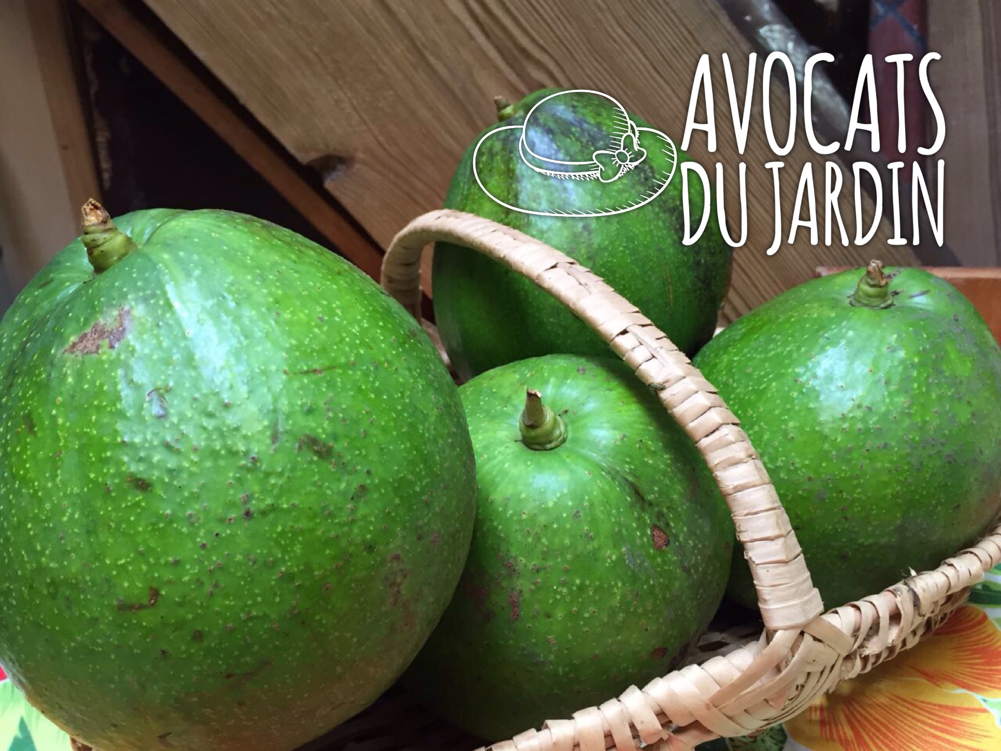 avocat Martinique Antilles