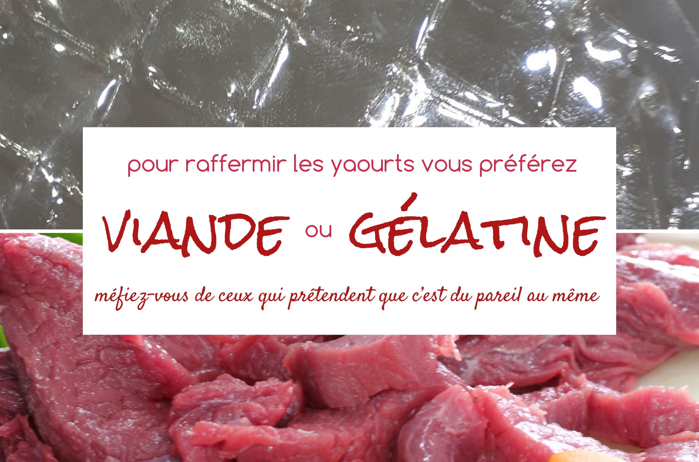 viande vs gélatine